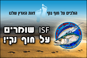 ISF