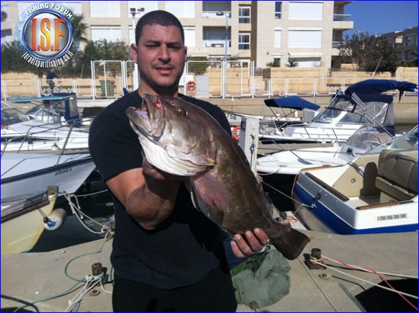 itzik16012012 (Copy)